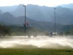 Oasis sprinklers Oasis sprinklers